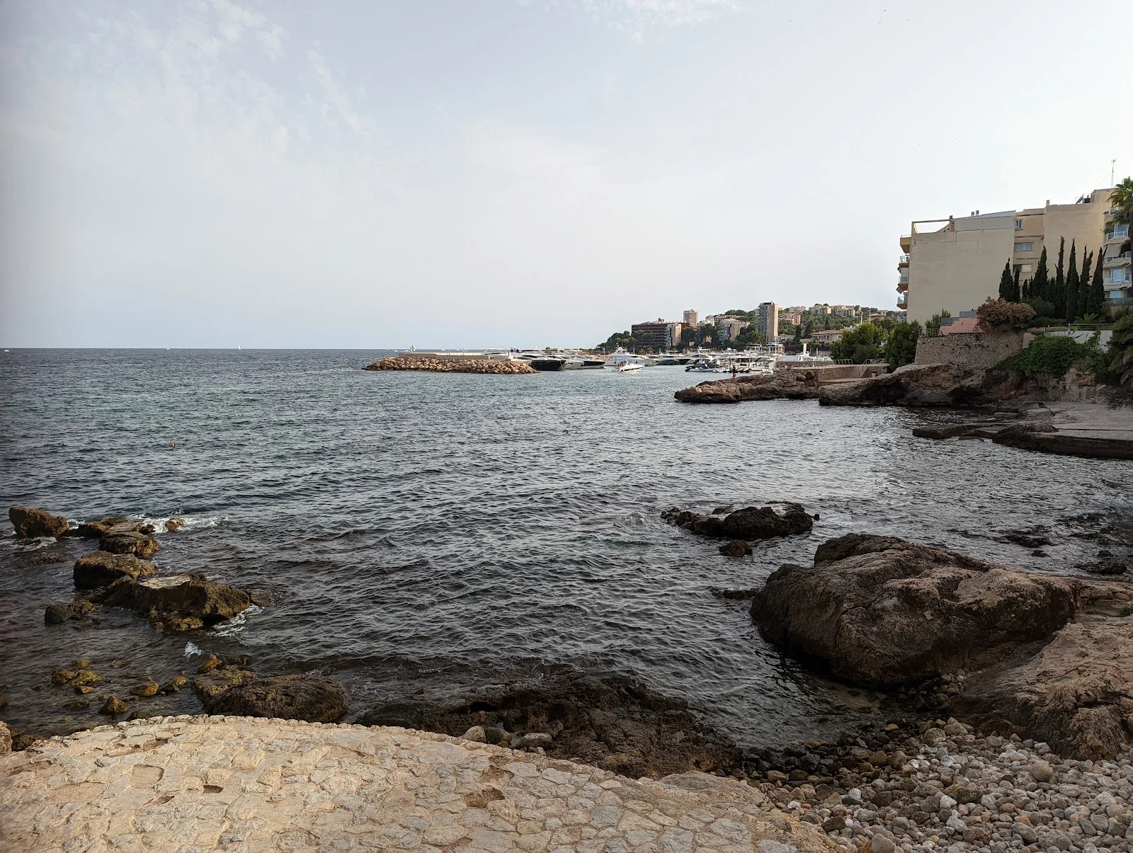 Pure Azaya Beach Club - Bild 9