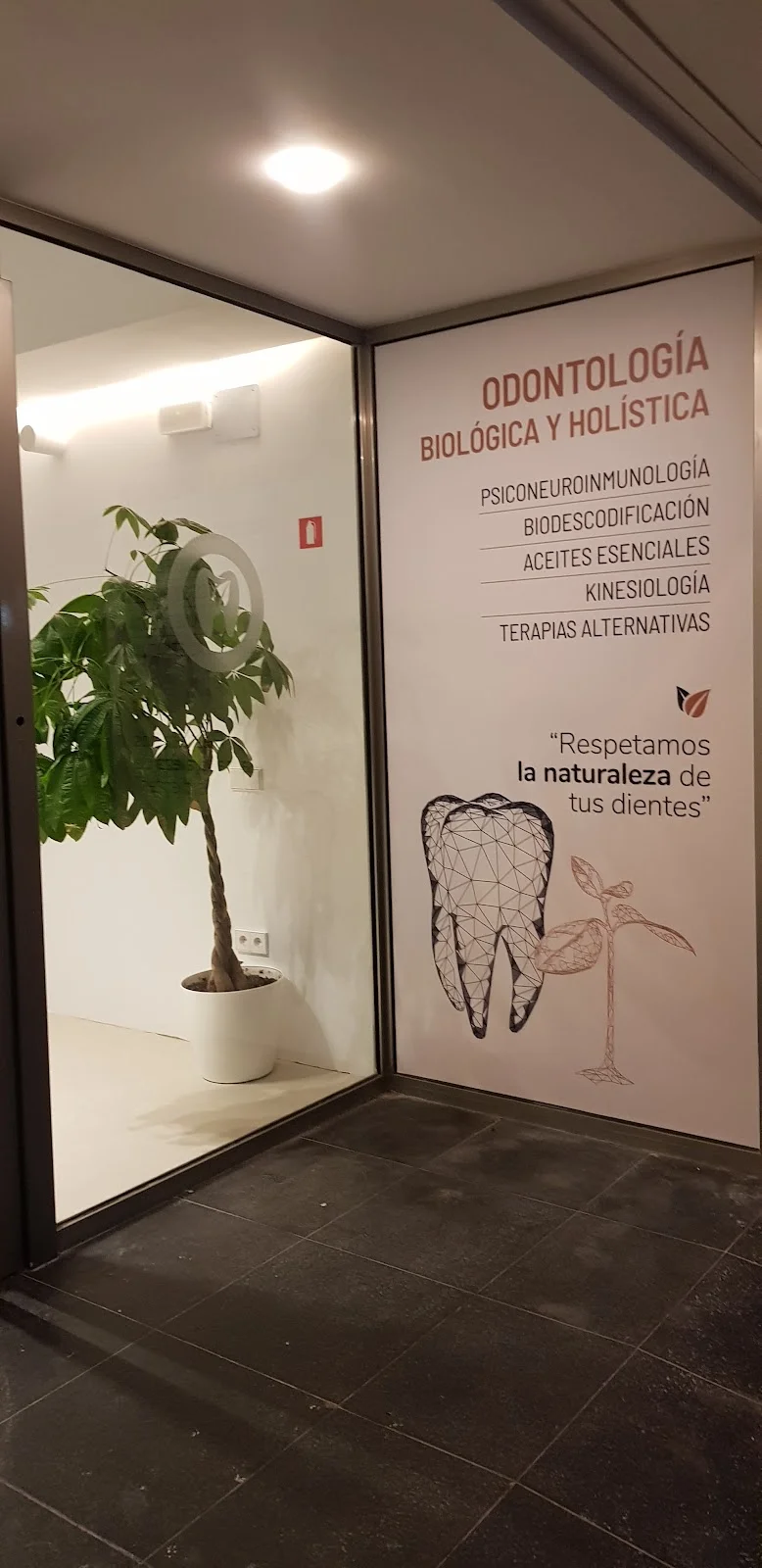 Clínica Dental Odident - Bild 9