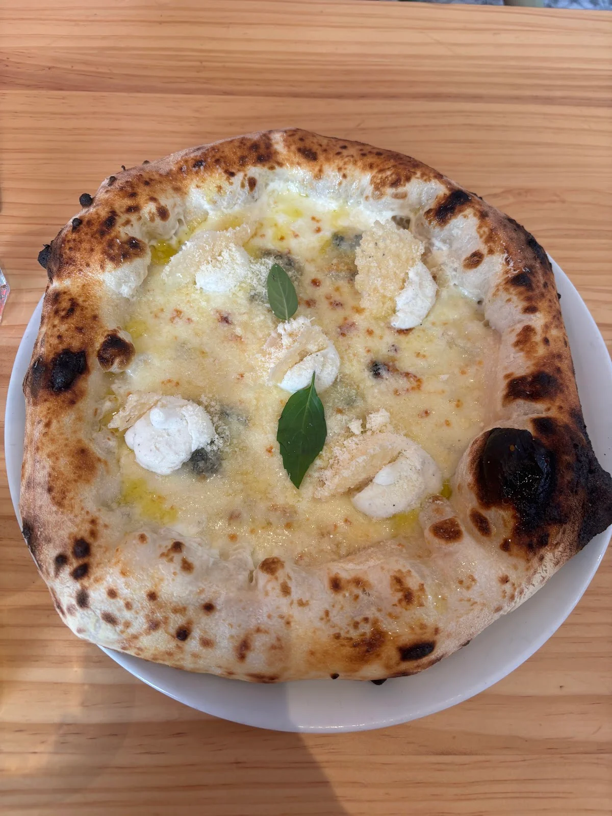 Santa Chiara Pizza Napoletana Contemporanea - Bild 6