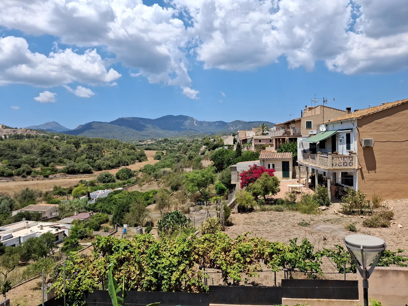 Pizzería Il Forno a Legna - Bild 10