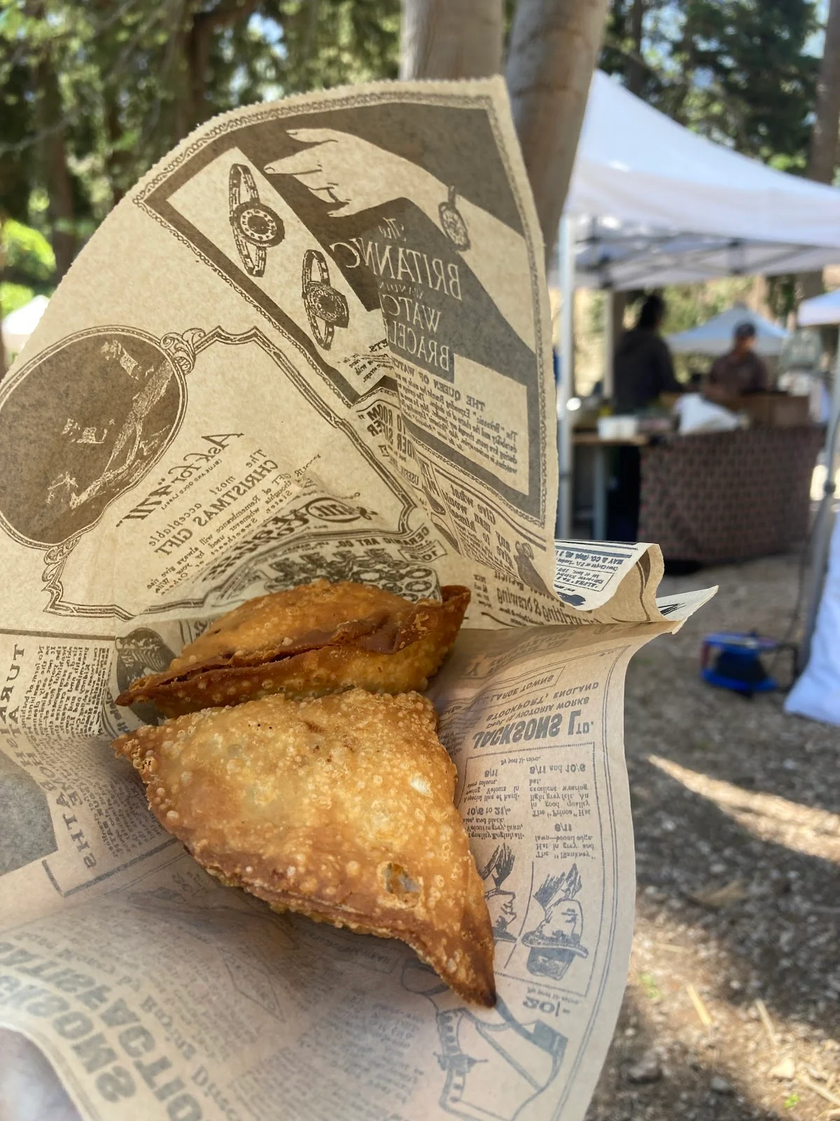 Famosa Samosa - Bild 9