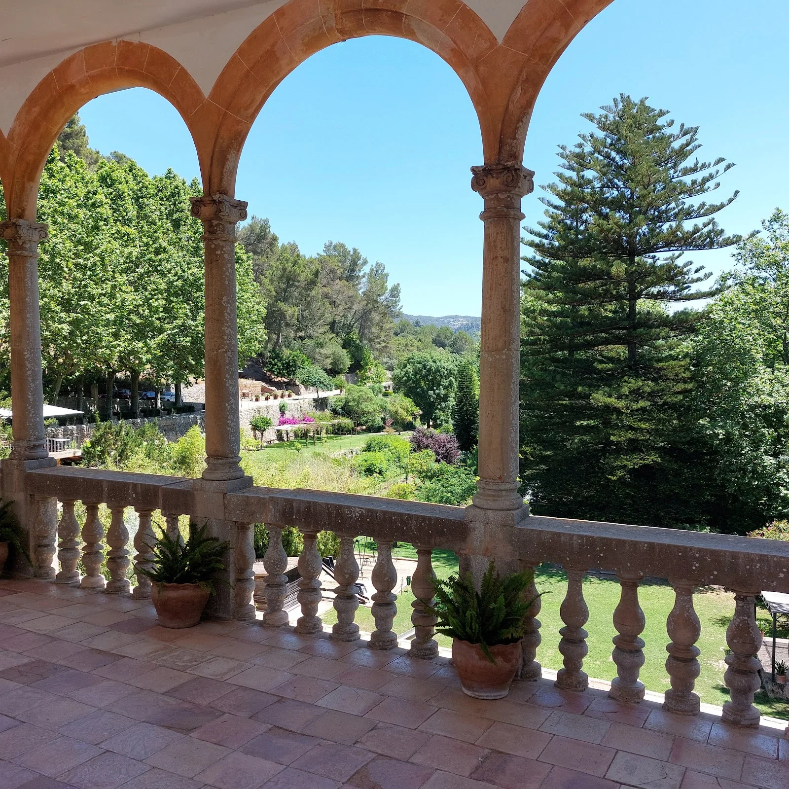 Museu La Granja d'Esporles - Bild 8