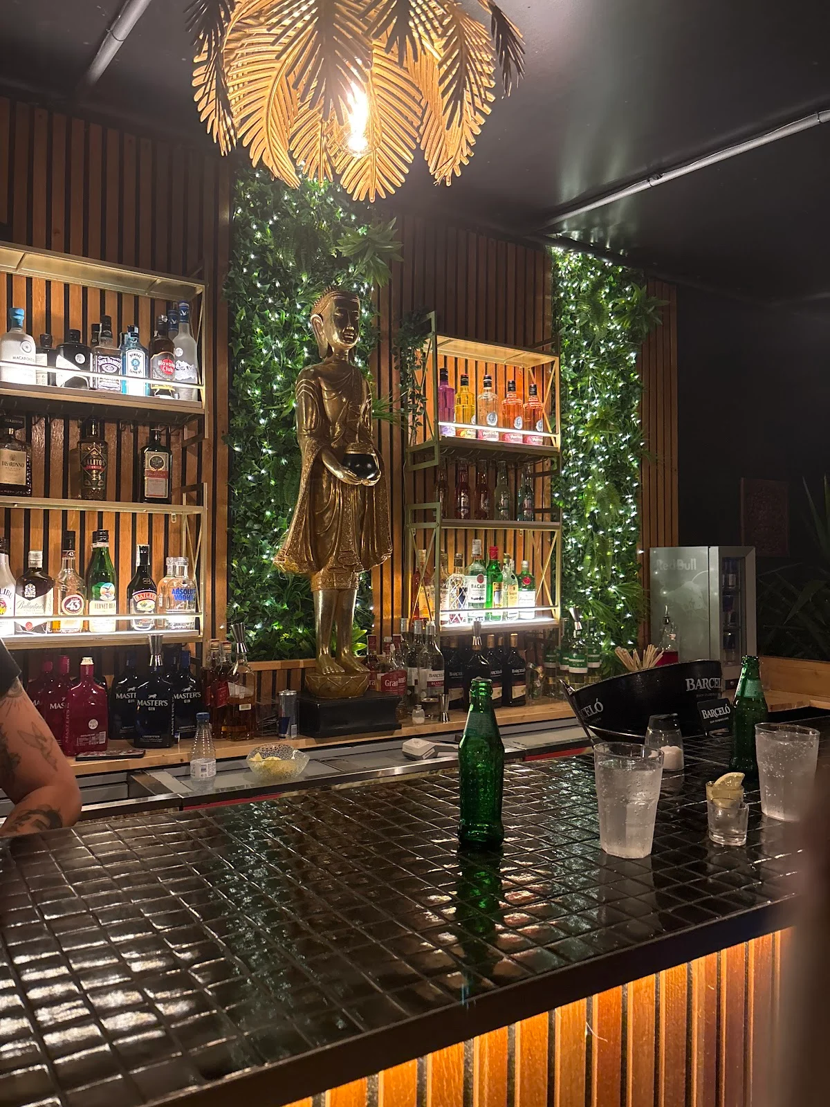 Banana Club Mallorca - Bild 3