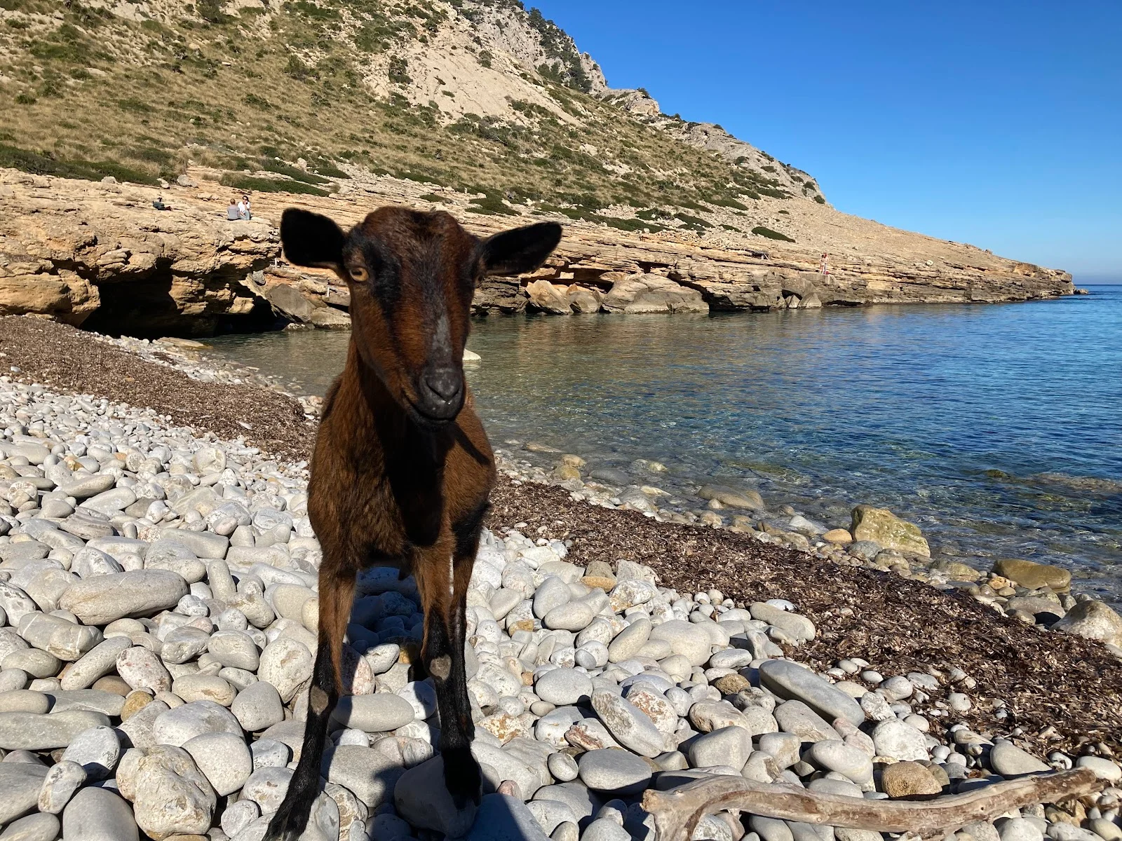 Cala Figuera - Bild 4