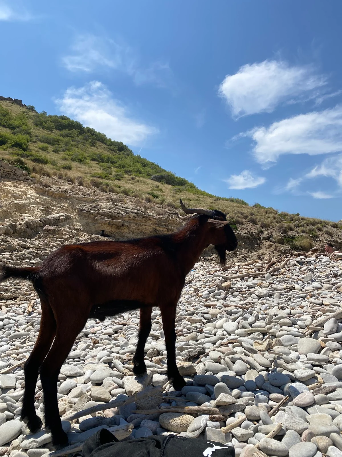 Cala Figuera - Bild 6