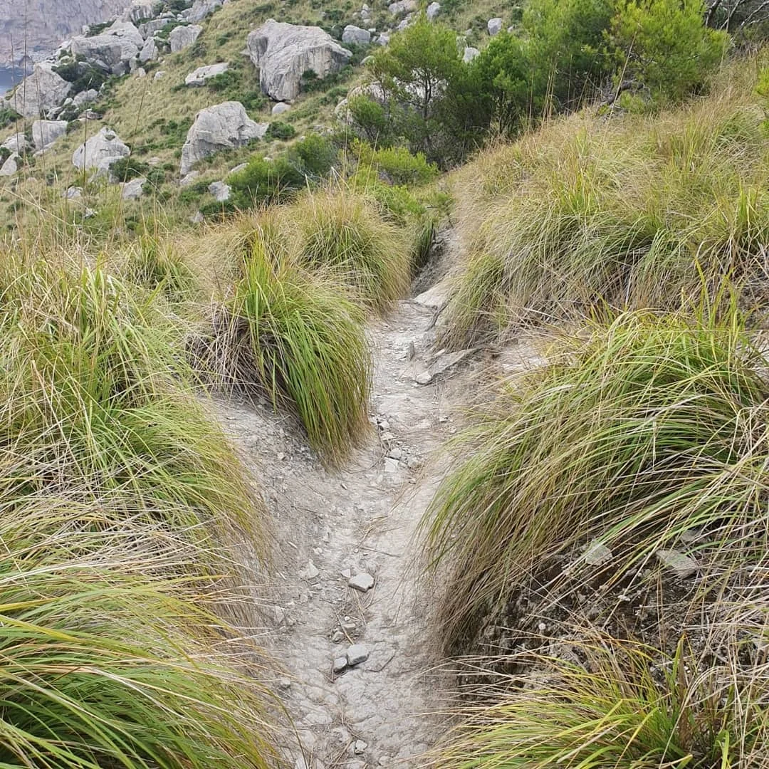 Cala Figuera - Bild 7