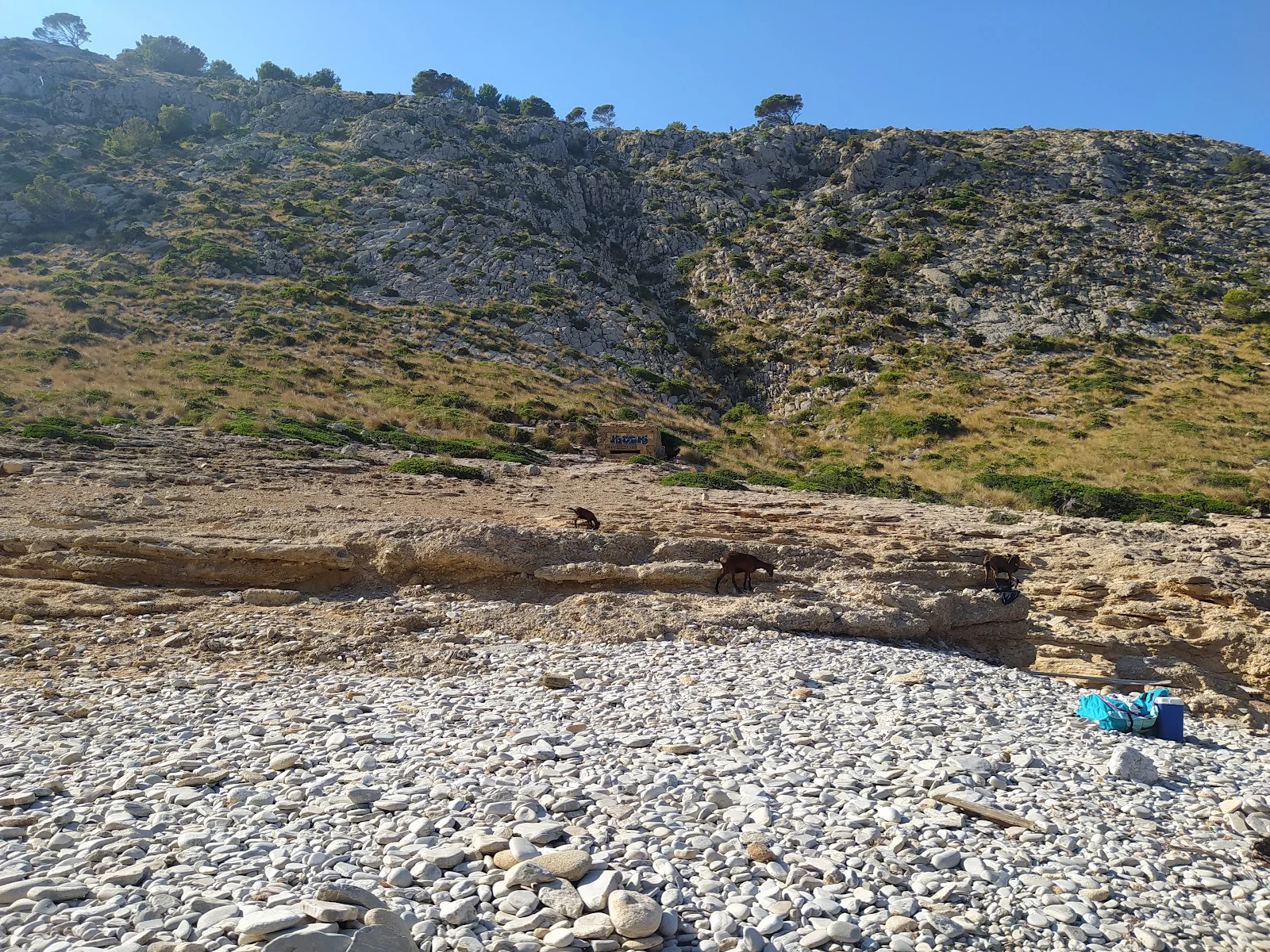 Cala Figuera - Bild 8