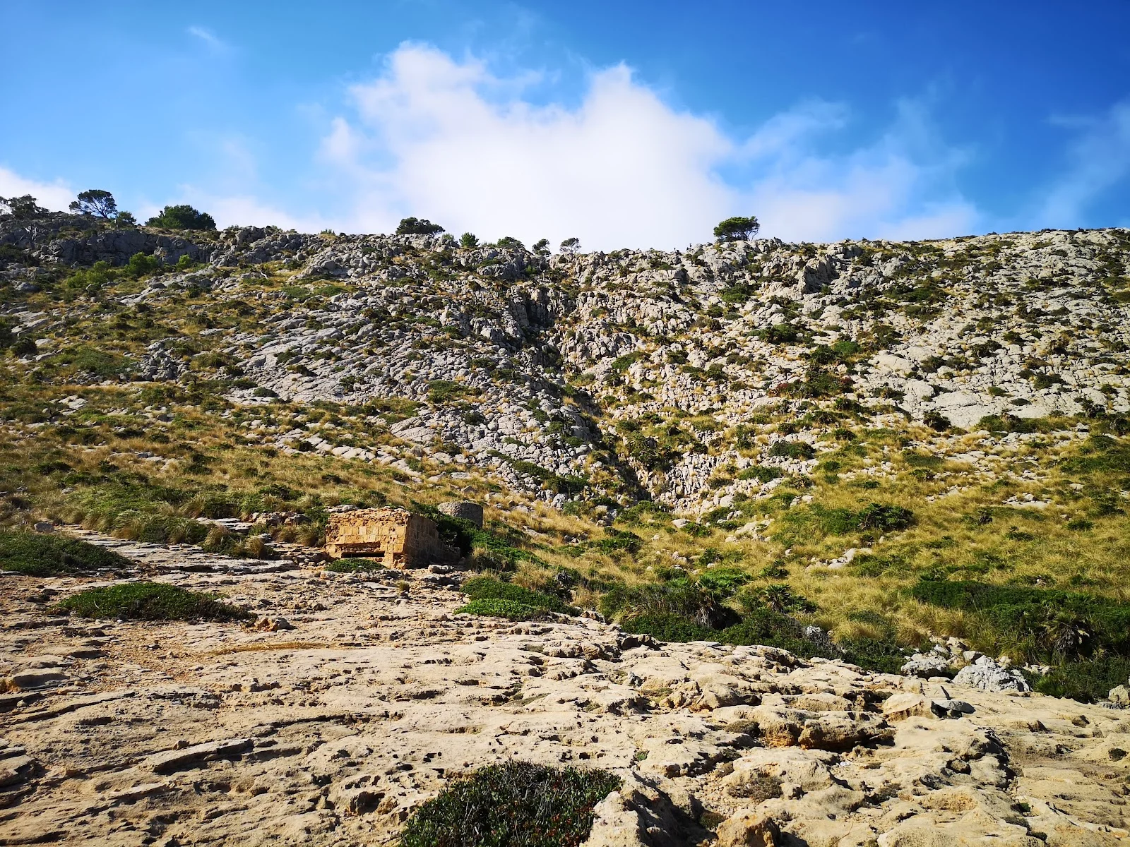 Cala Figuera - Bild 9