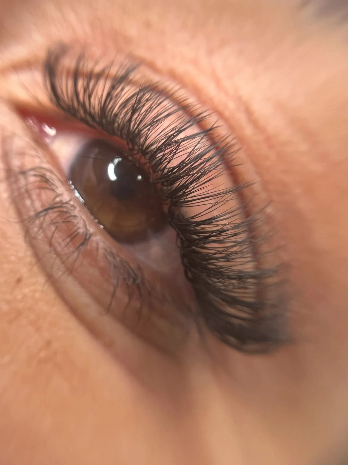 Mallorca Beauty - Bild 7