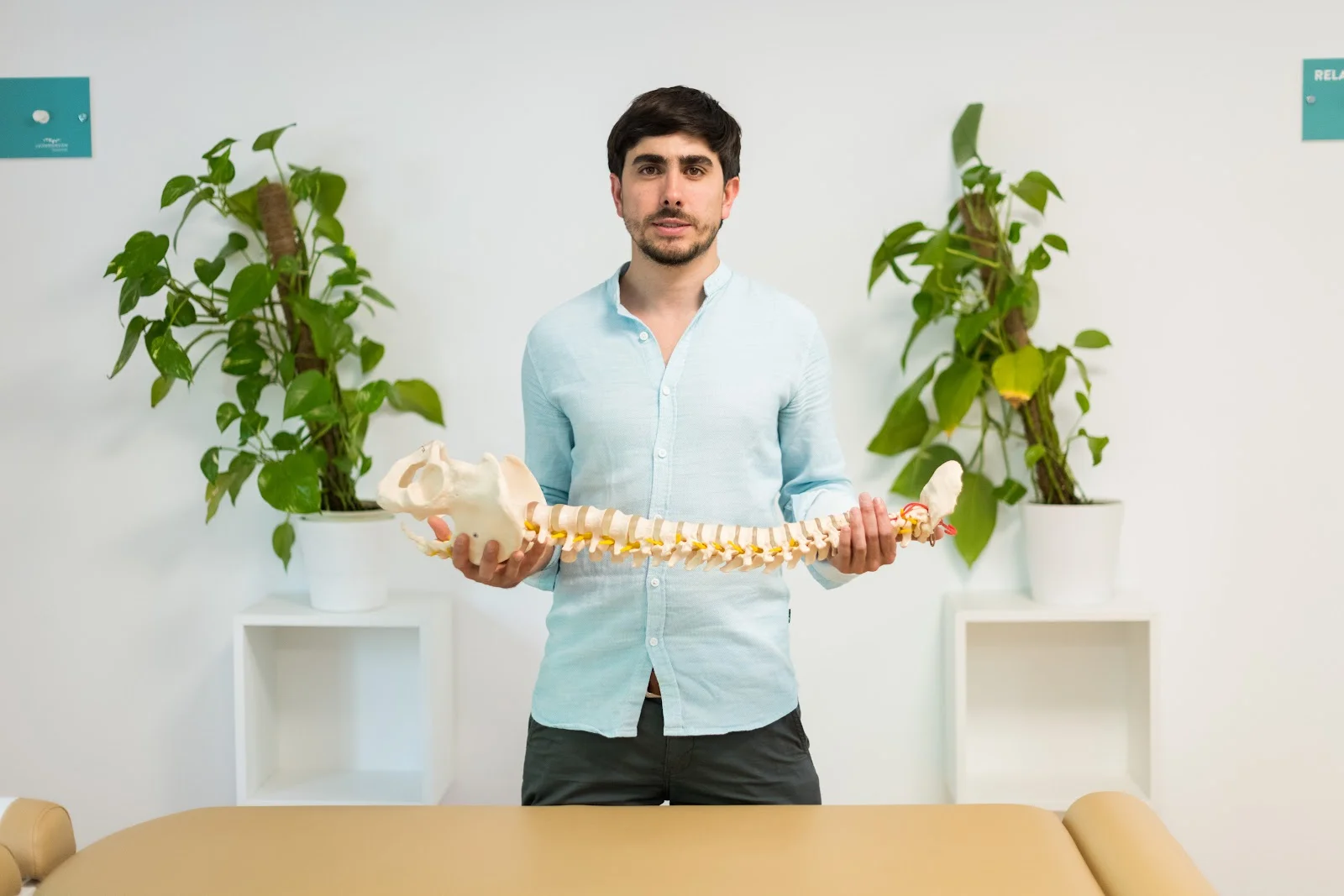 León Monzón Quiropràctic - Bild 9