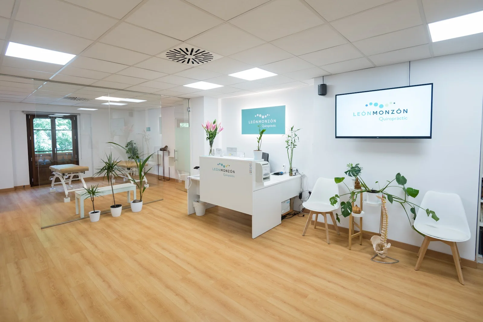 León Monzón Quiropràctic - Bild 2