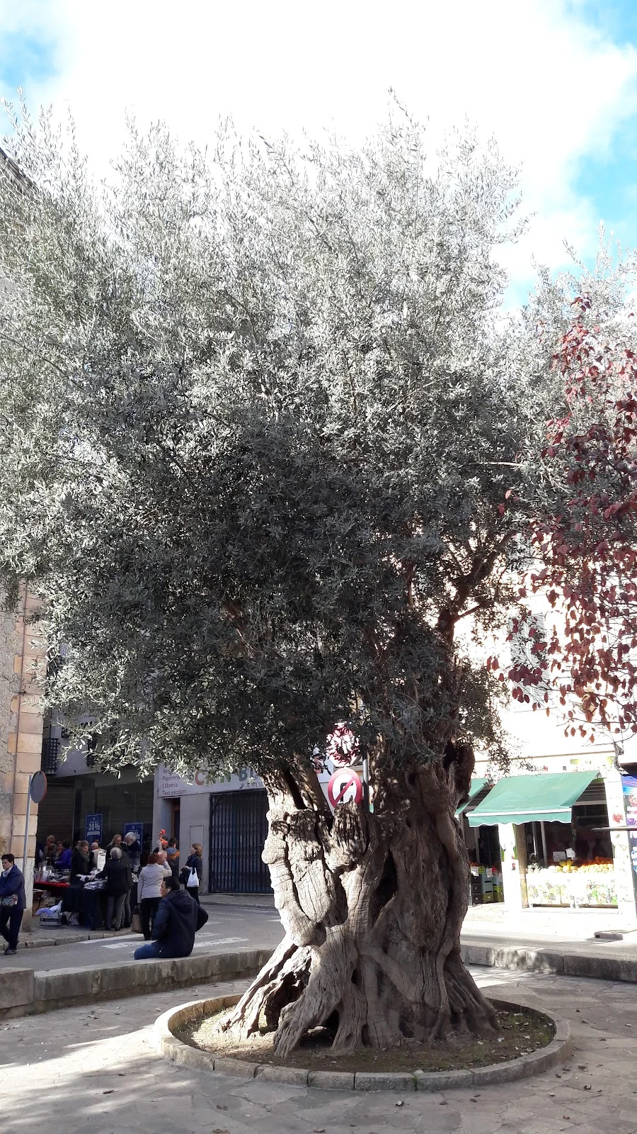 Església de Santa Maria la Major - Bild 10