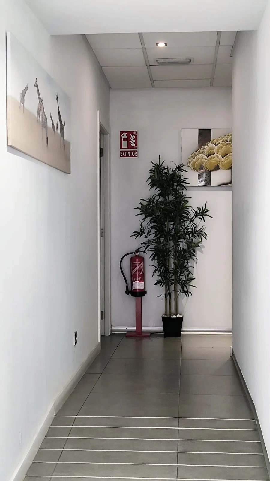 ROSA MASSAGE - Bild 7