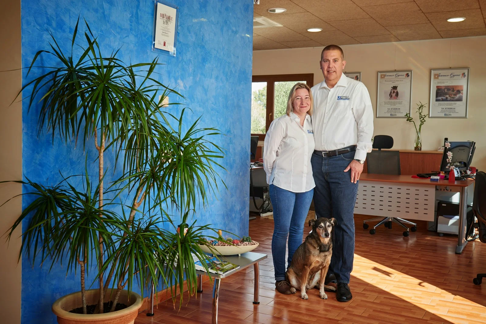 Perfect Mallorca - Bild 2