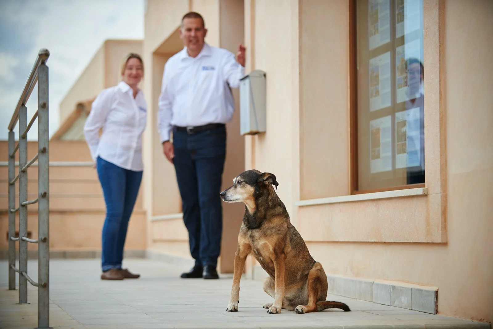 Perfect Mallorca - Bild 8