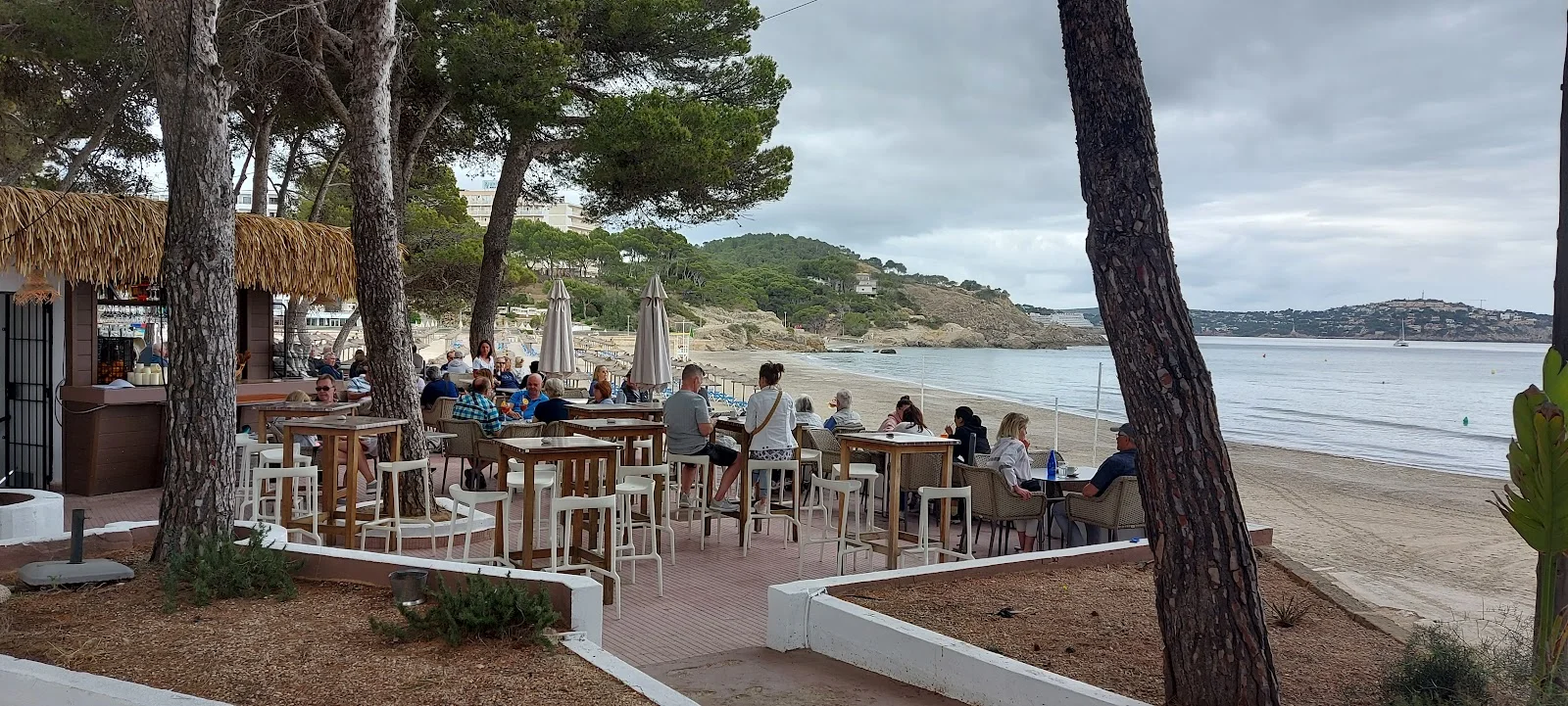 TEN Club Mallorca - Bild 1