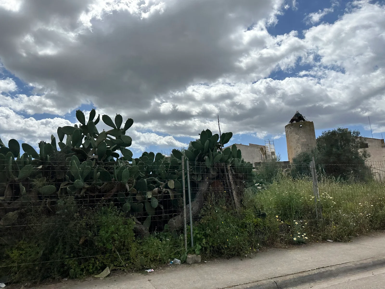 Podología Rigo - Bild 2