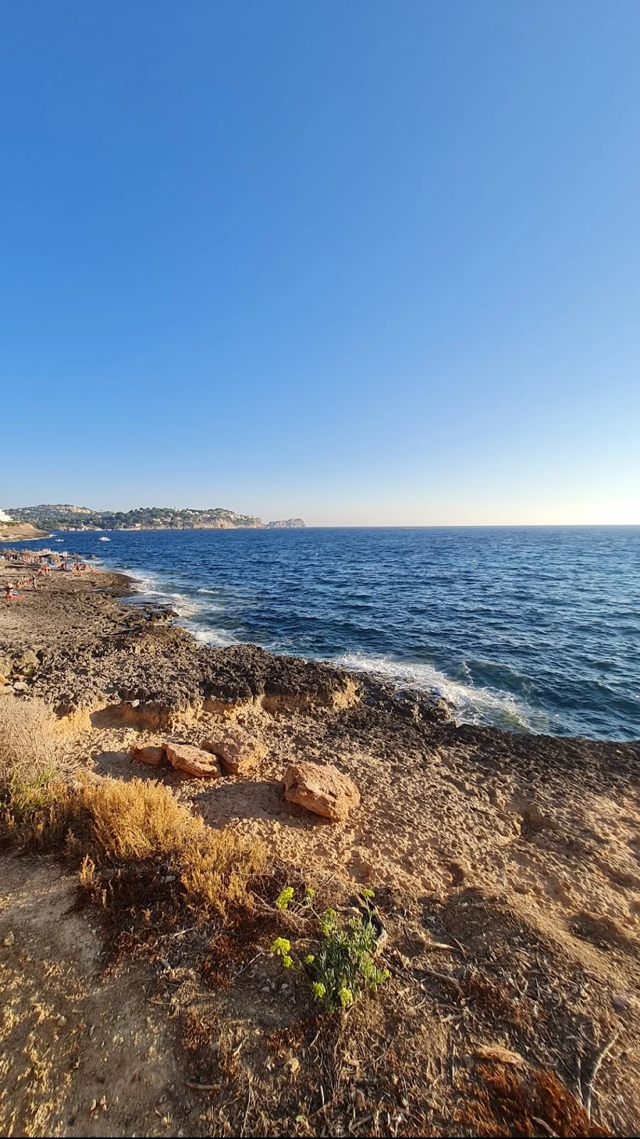 Craneo Palma - Bild 8