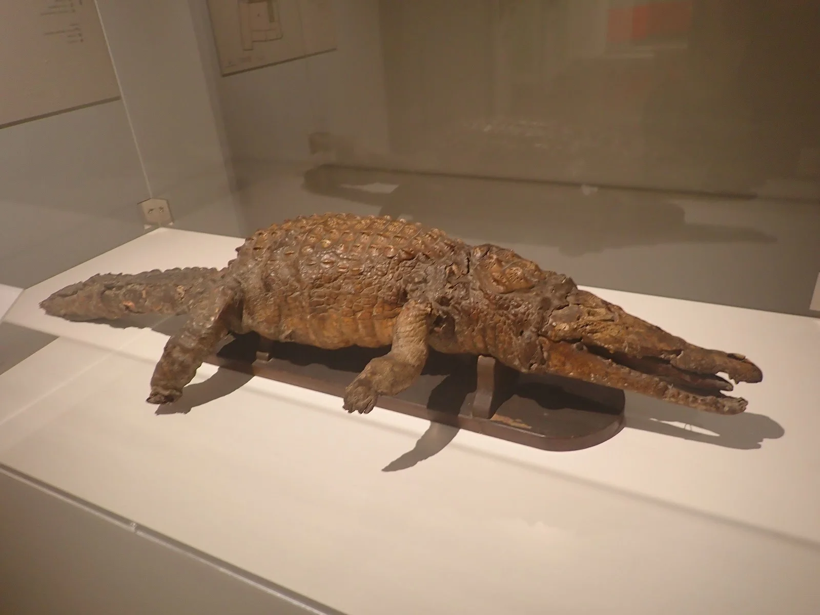 Museu Diocesà - Bild 10