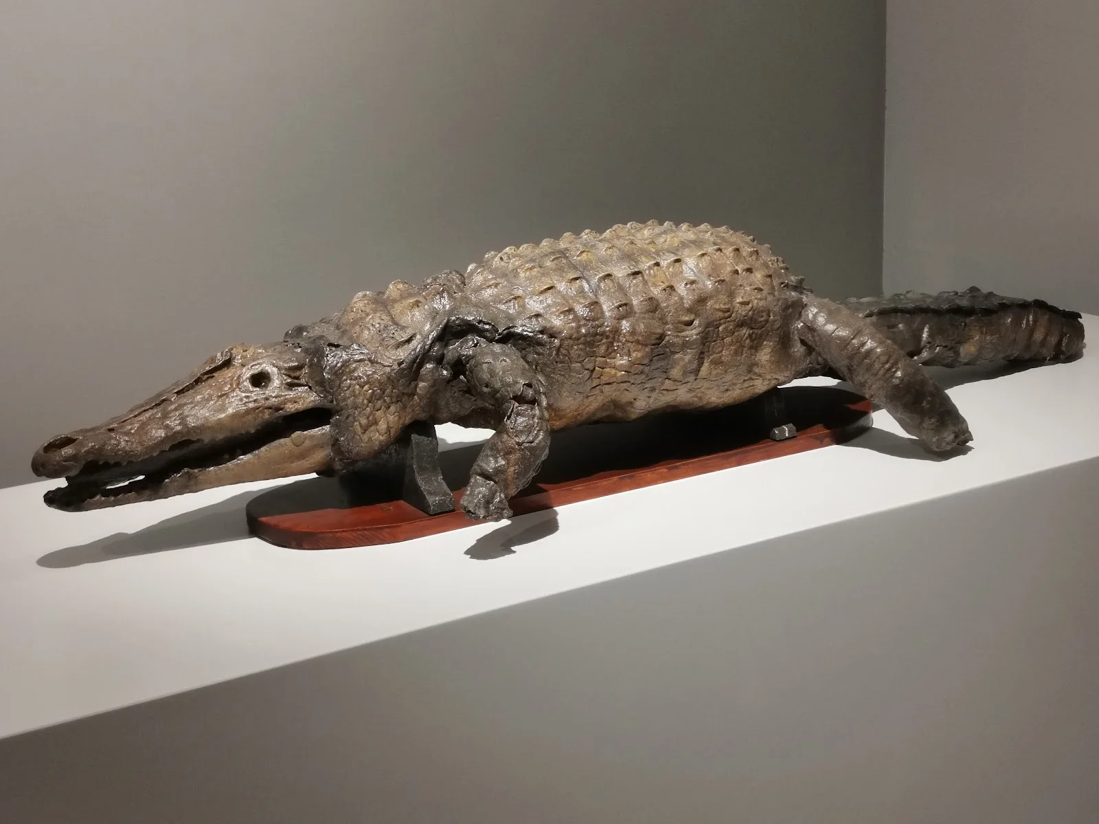 Museu Diocesà - Bild 9