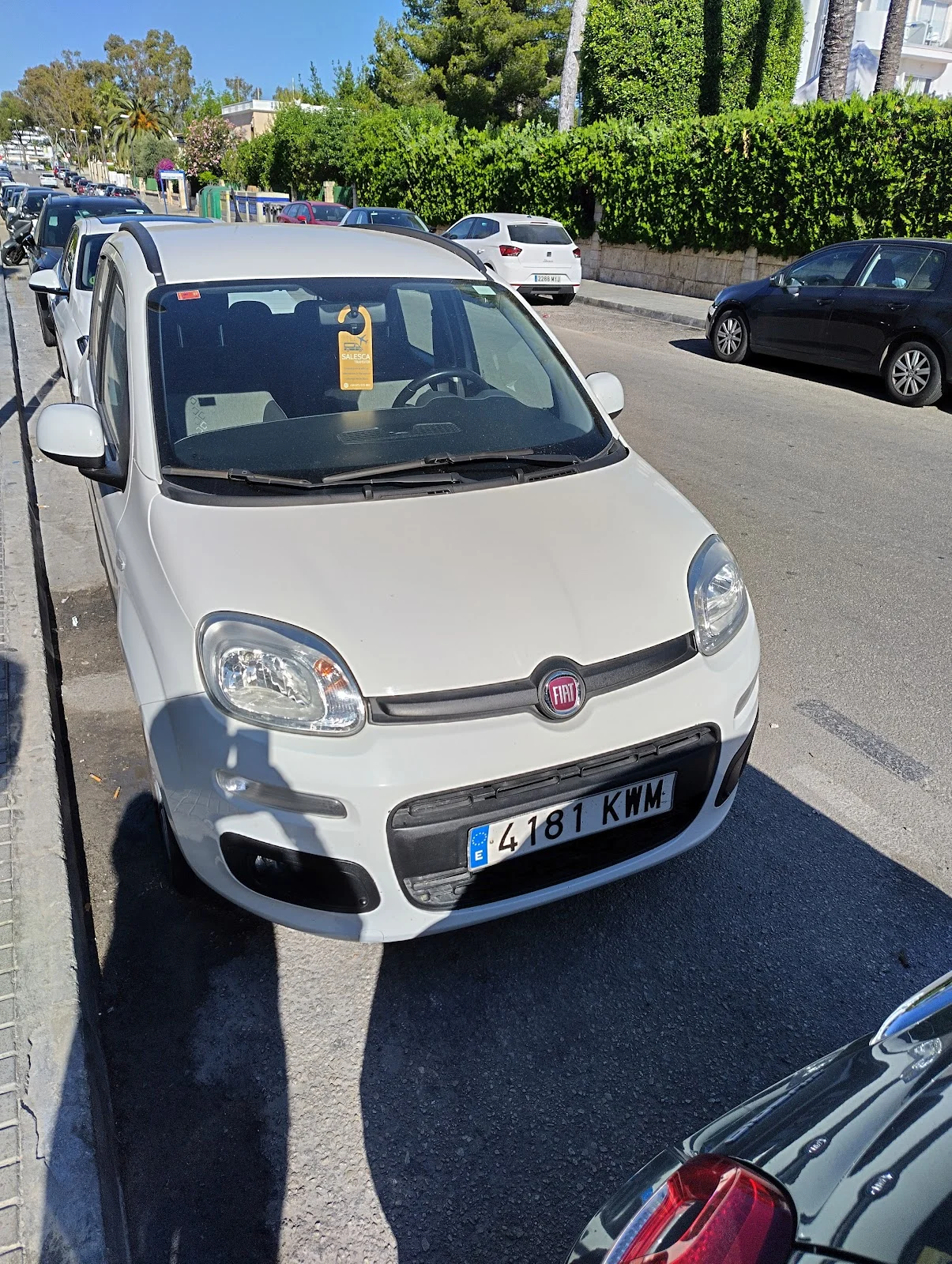 Rent a Car Salesca - Bild 2