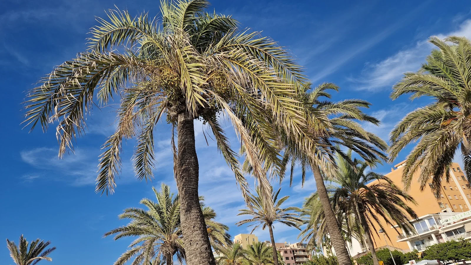 Irongym Arenal - Bild 10