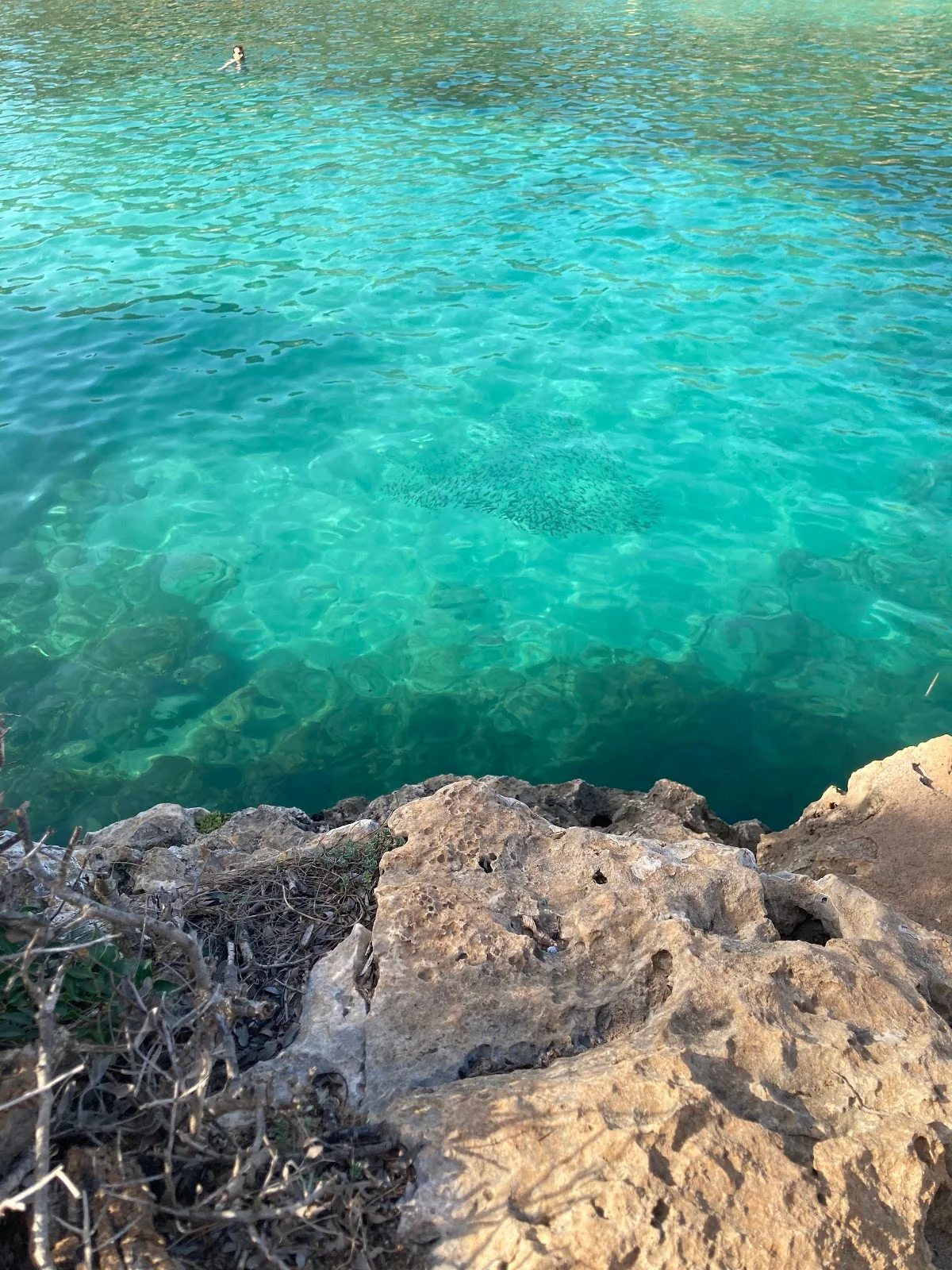 Cala Sa Nau - Bild 3