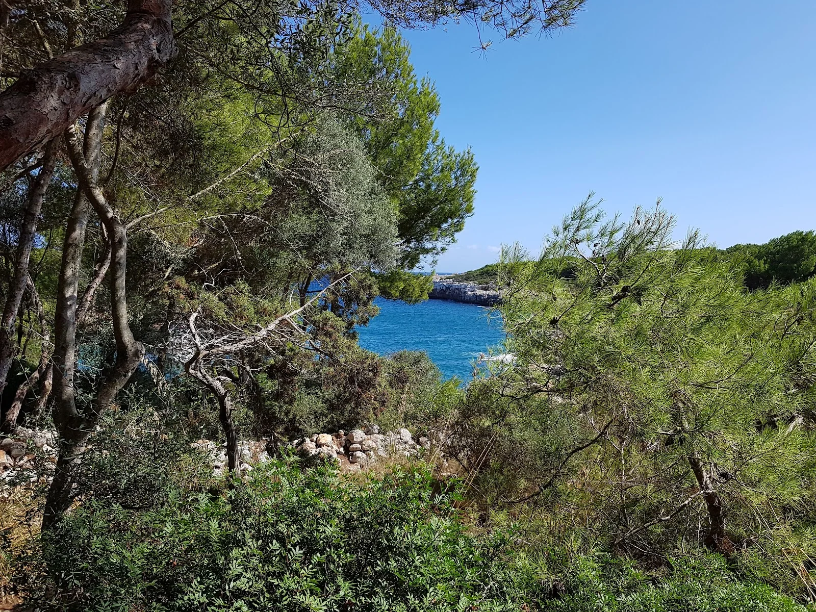Cala Sa Nau - Bild 10