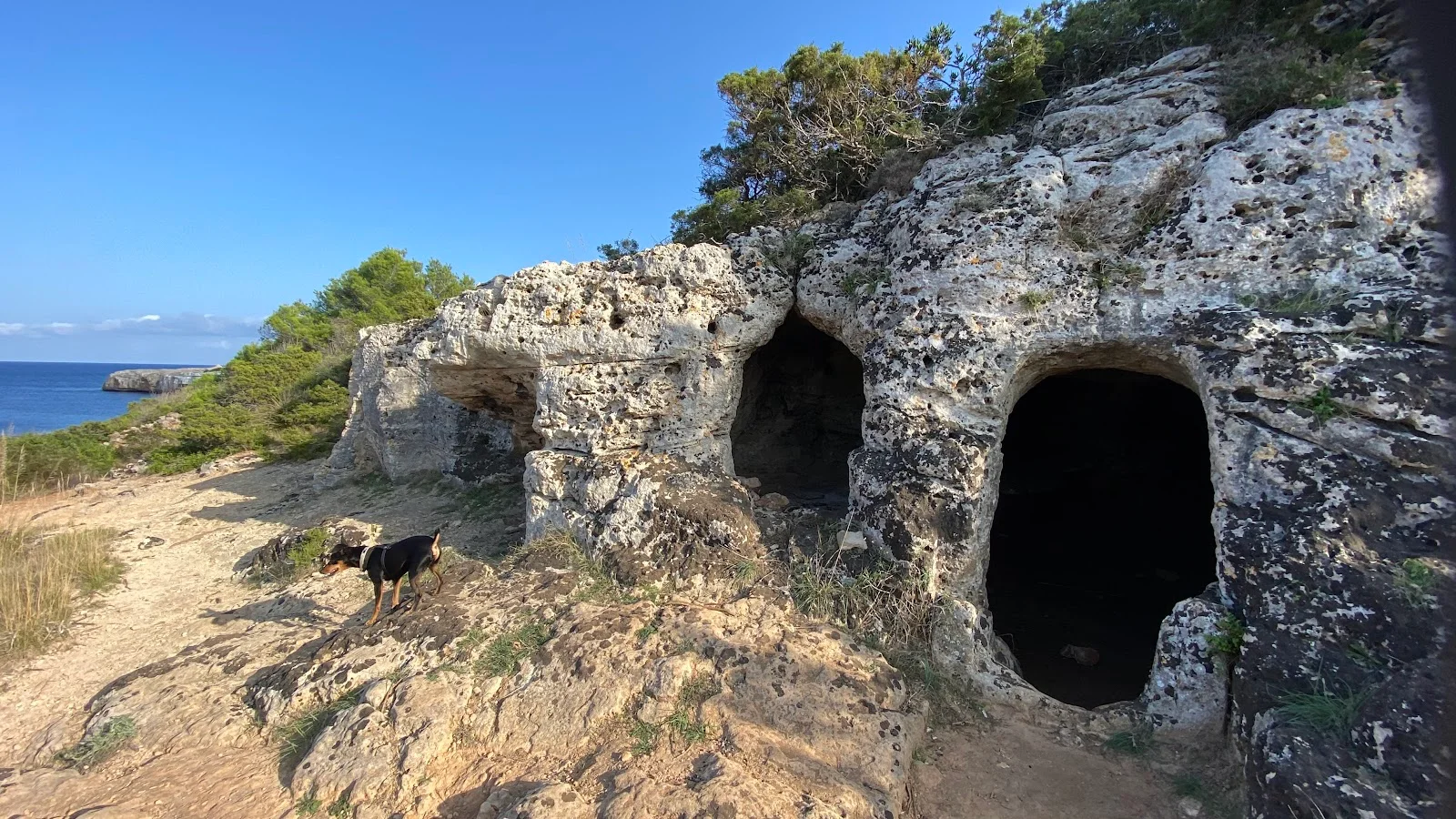 Cala Sa Nau - Bild 3