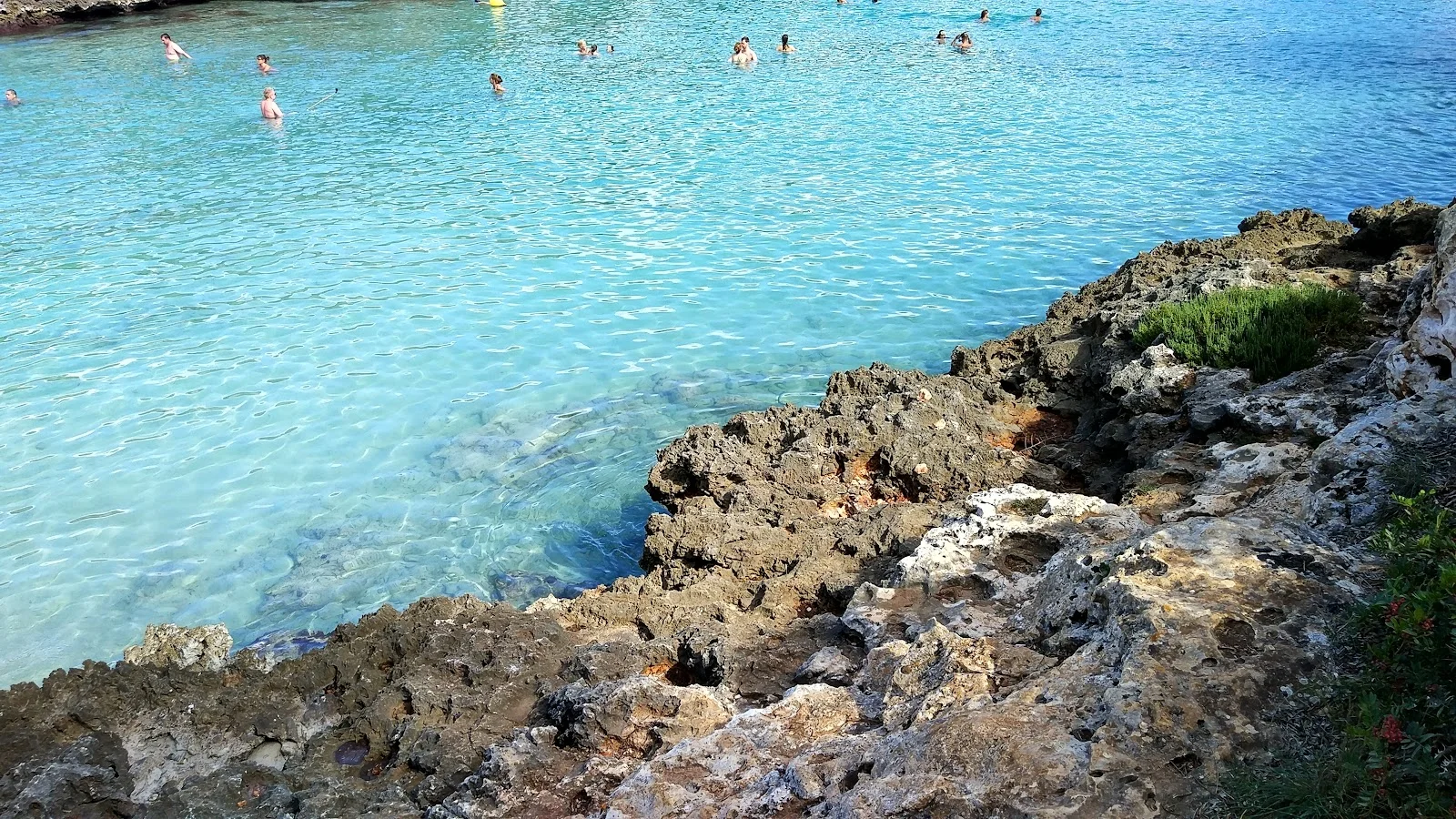 Cala Sa Nau - Bild 7