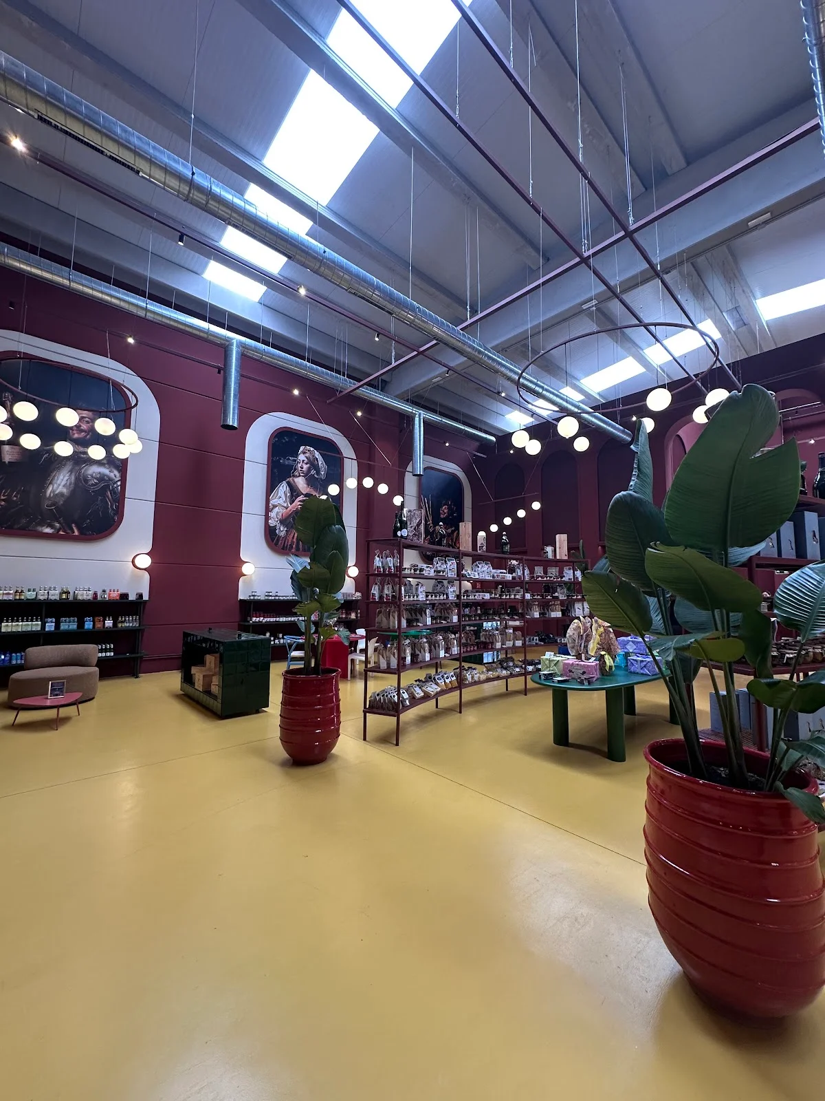 Tintorera Mallorca - Bild 6