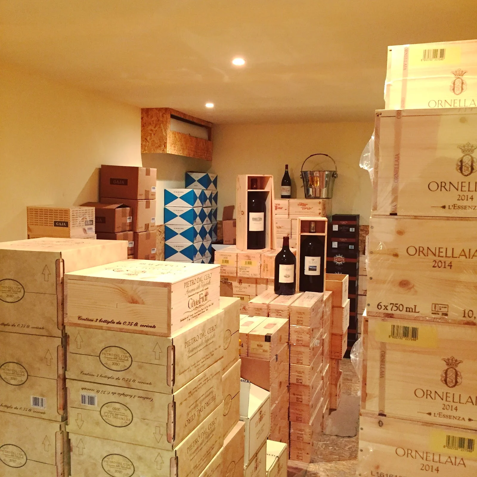 Tintorera Mallorca - Bild 7