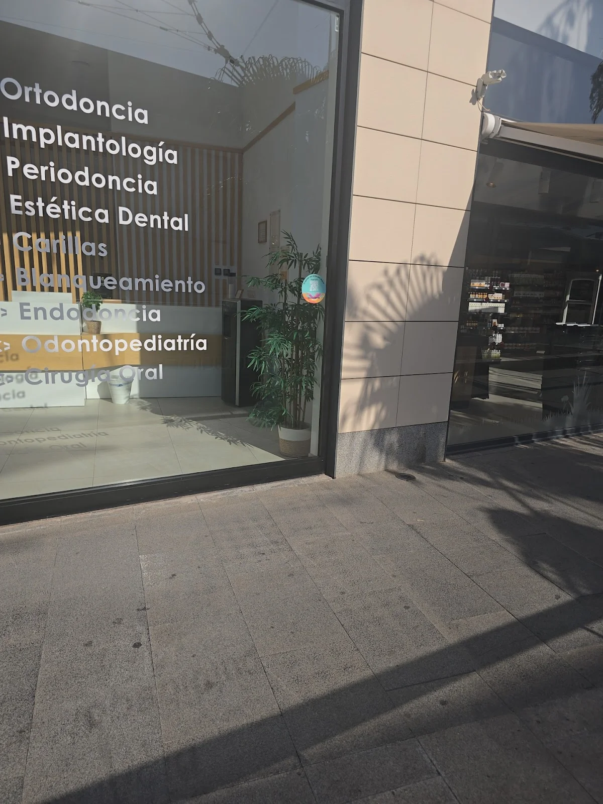 Dental Star Fan - Bild 4