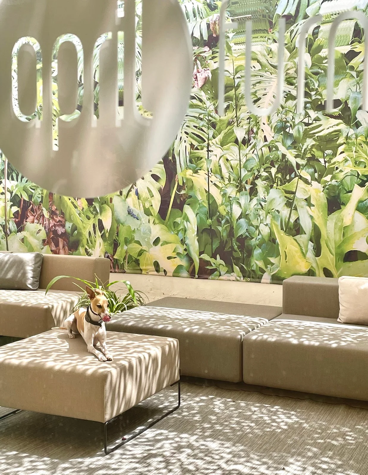 AHOY! Art Gallery - Bild 9