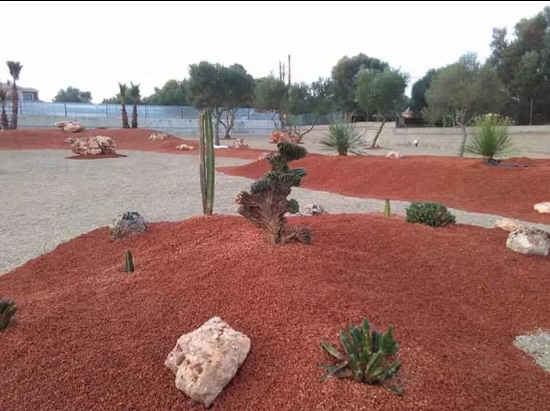 GARTEN & LANDSCHAFTSBAU THE LANDSCAPE COMPANY - Bild 3