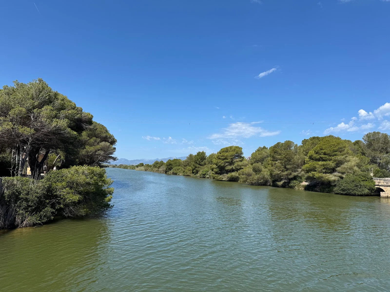 Parc Natural de s'Albufera de Mallorca - Bild 8
