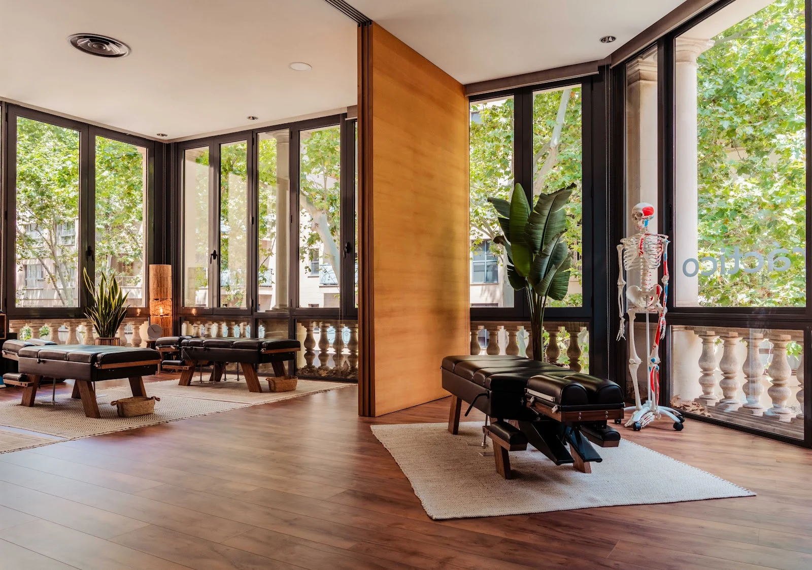 Alive Quiropráctico - Bild 1