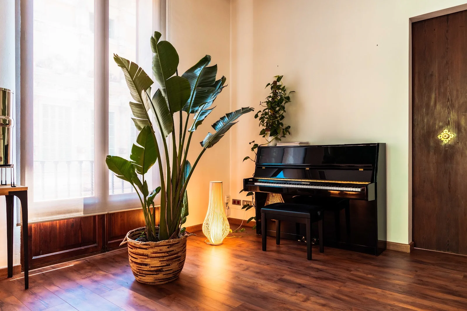 Alive Quiropráctico - Bild 2