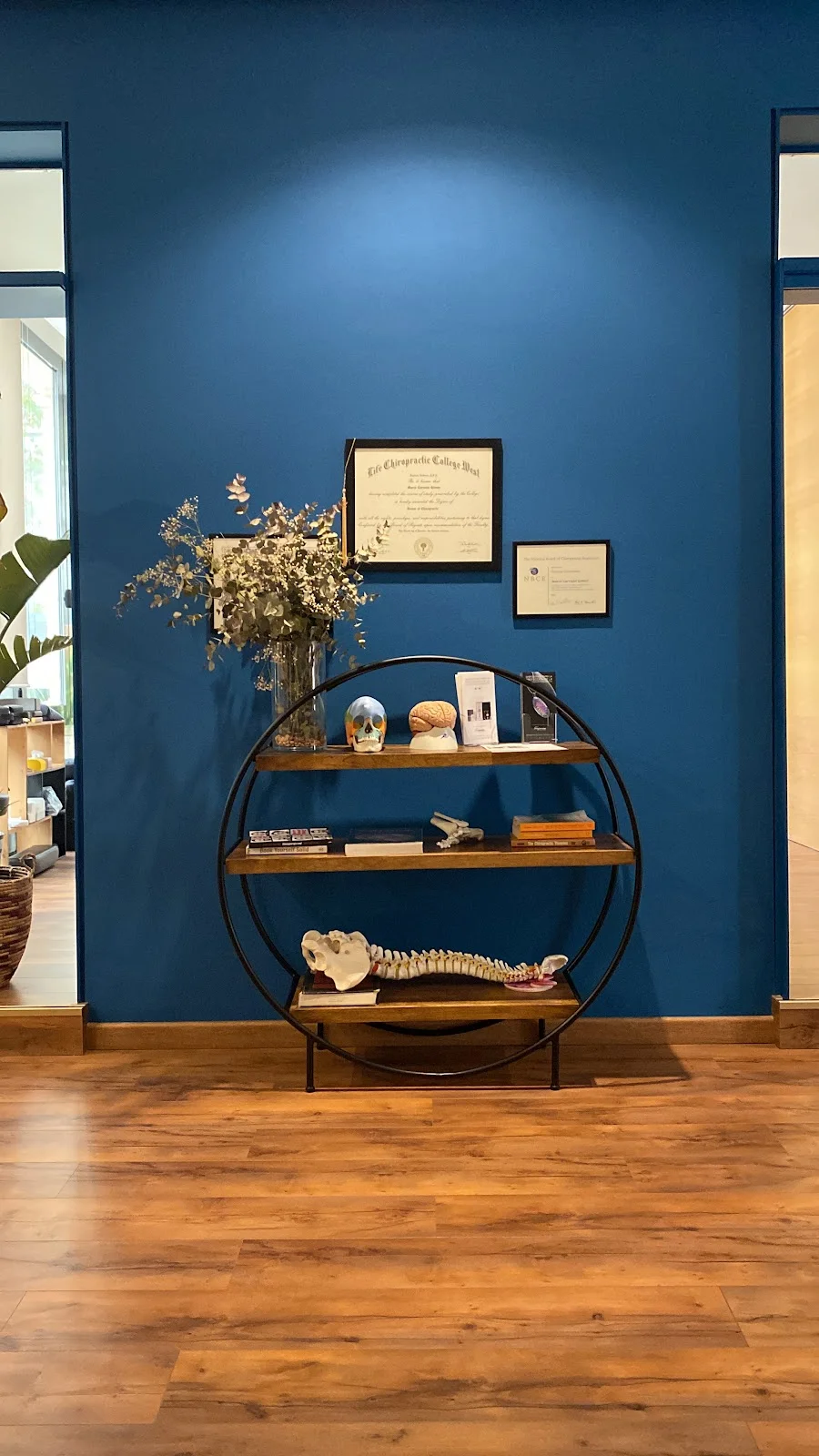 Alive Quiropráctico - Bild 4