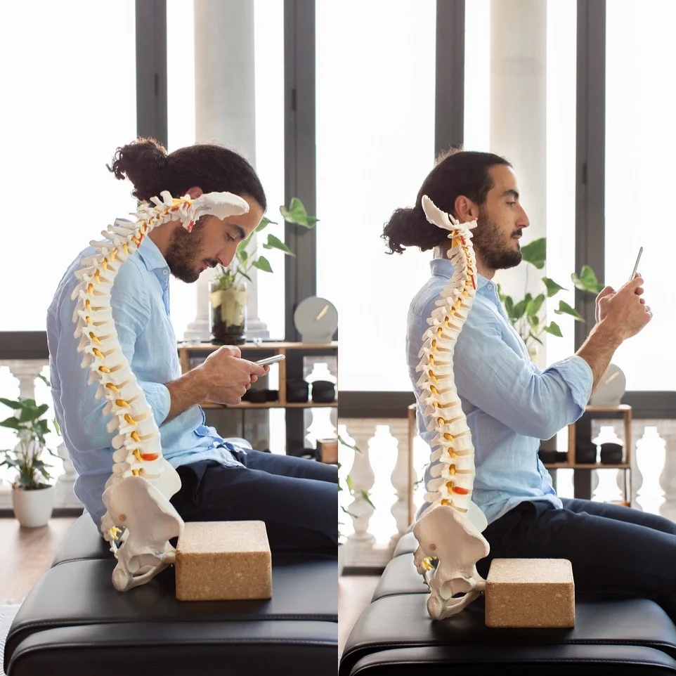 Alive Quiropráctico - Bild 8