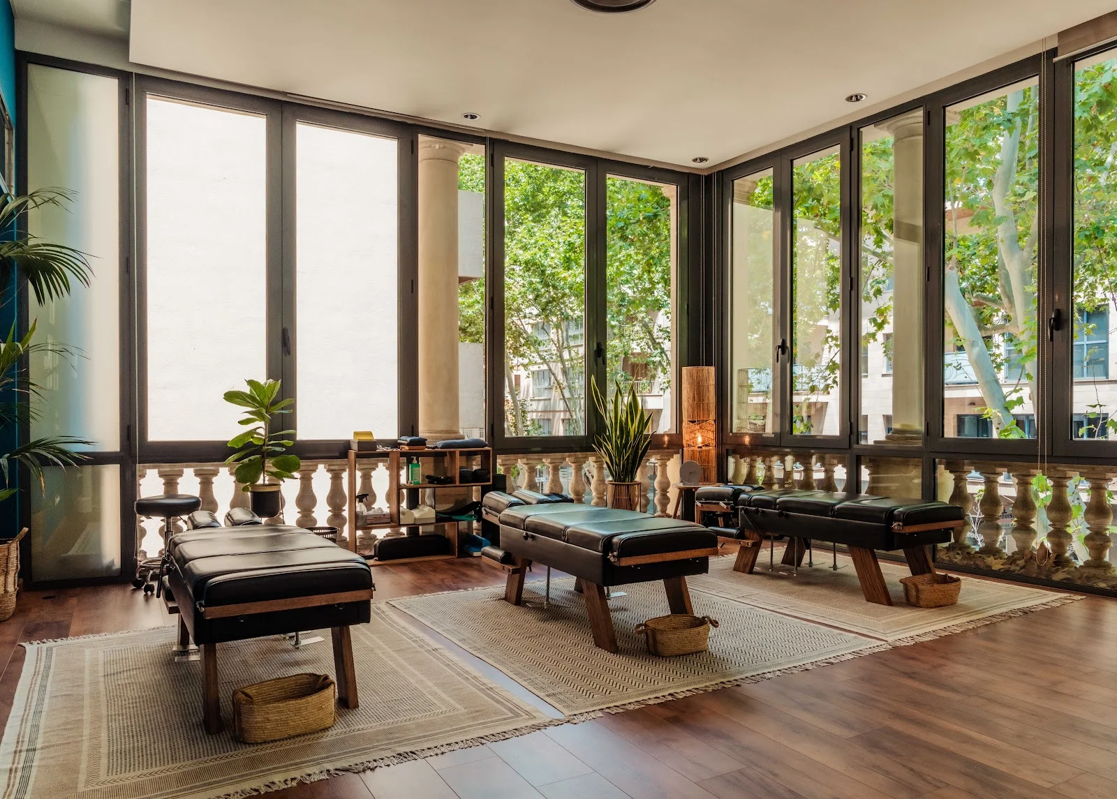 Alive Quiropráctico - Bild 7