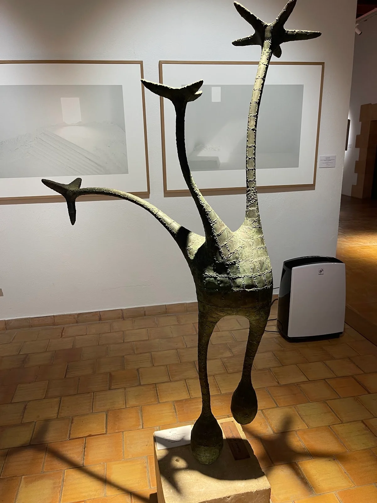 Museu de Pollença - Bild 8