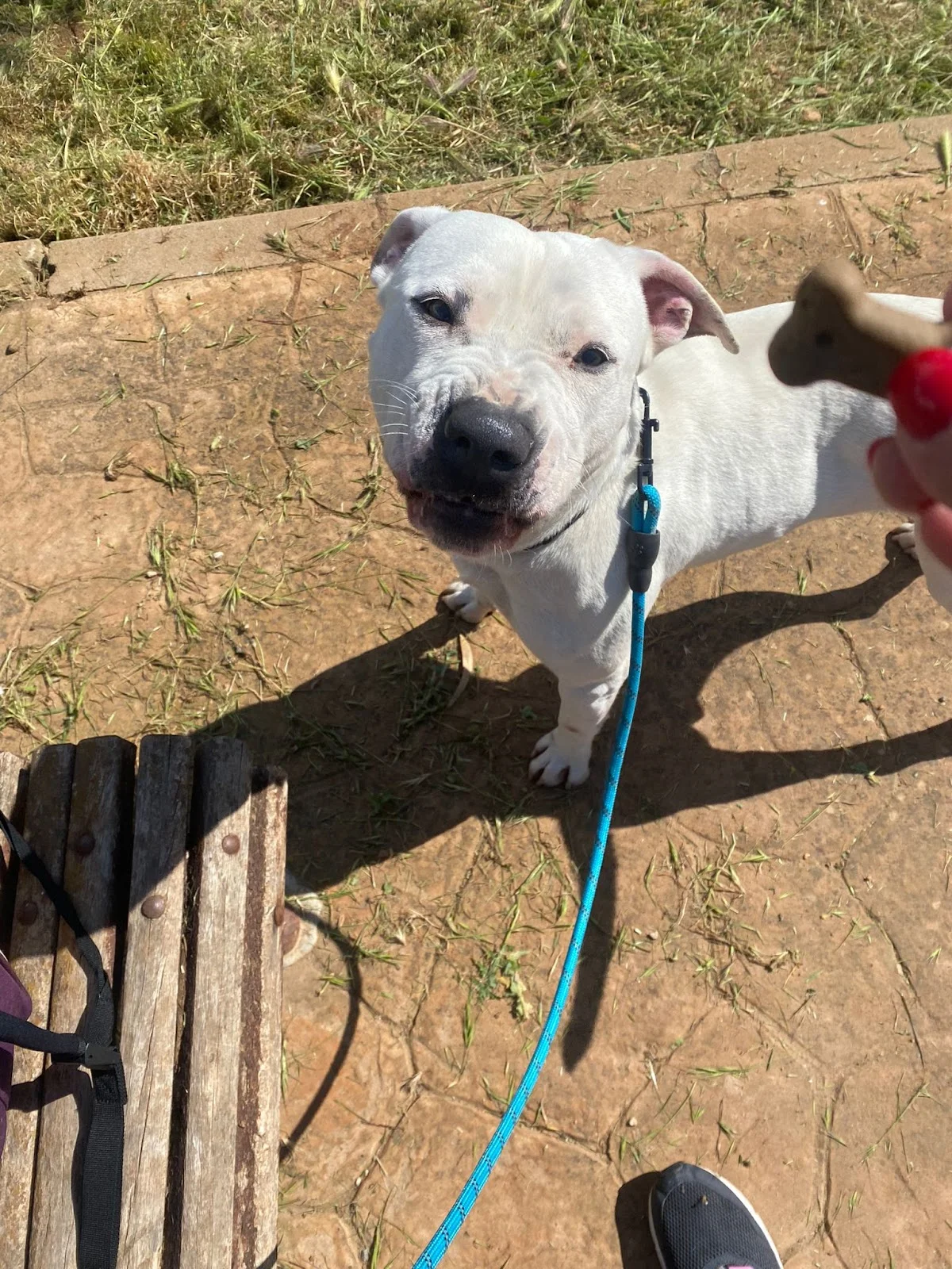 Canera Municipal de Son Reus - Bild 10