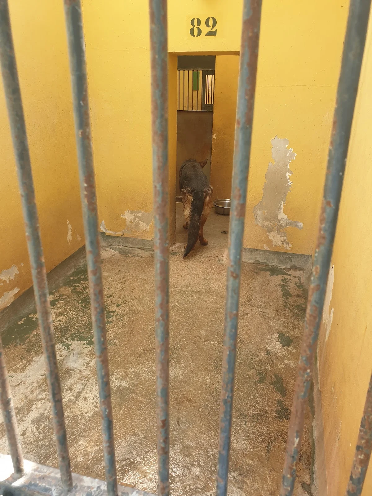 Canera Municipal de Son Reus - Bild 3