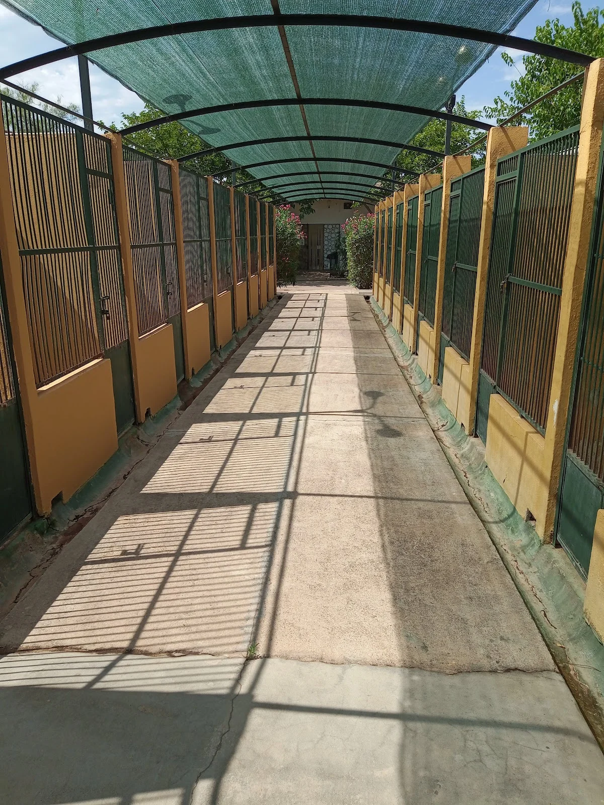 Canera Municipal de Son Reus - Bild 6