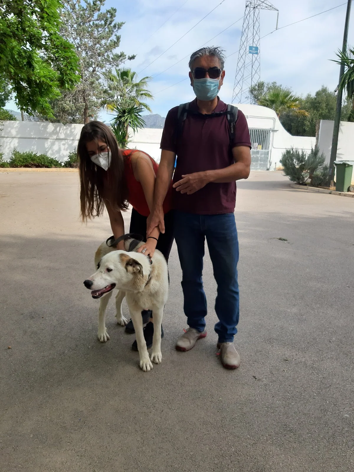 Canera Municipal de Son Reus - Bild 8