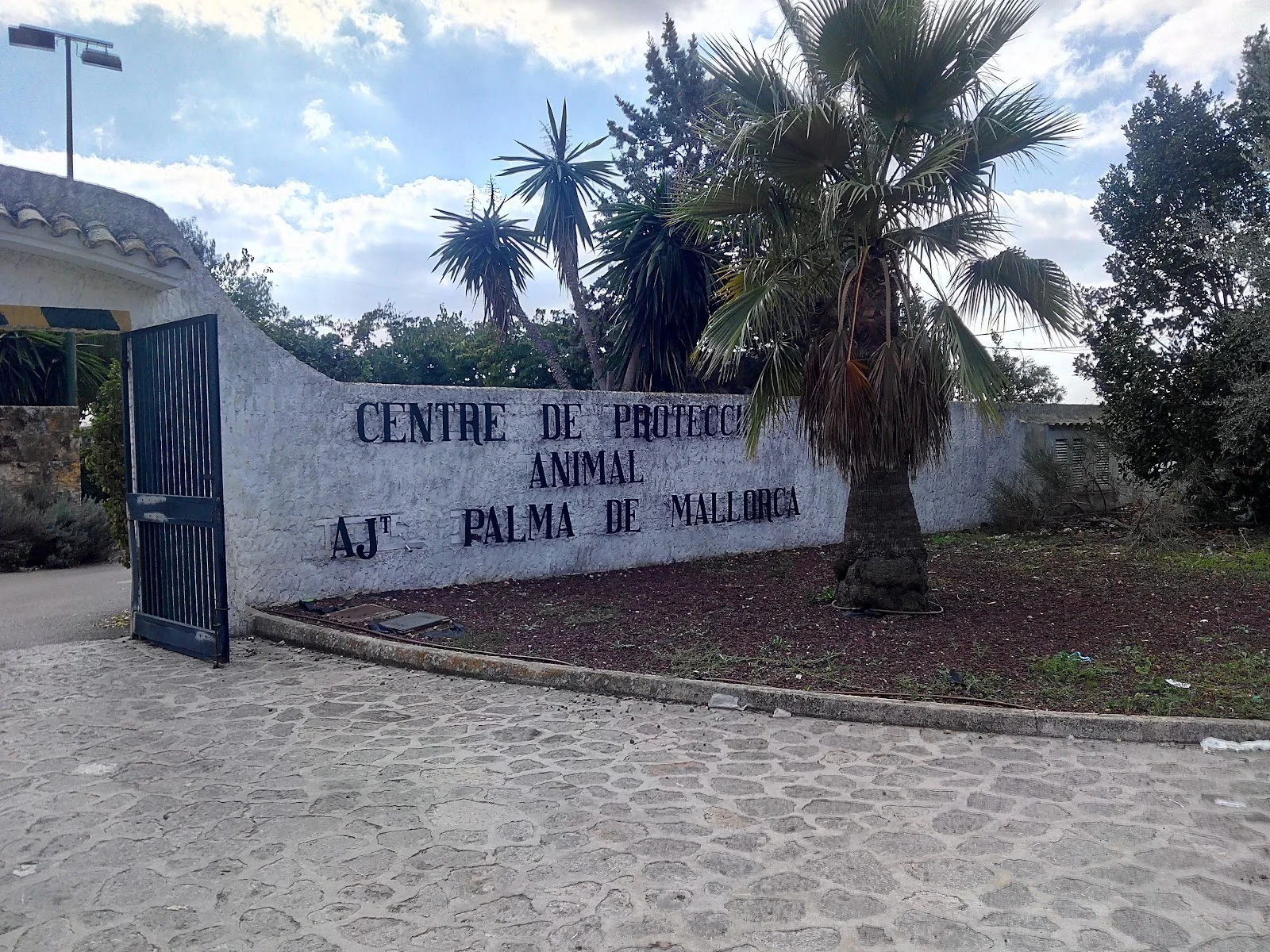 Canera Municipal de Son Reus - Bild 3