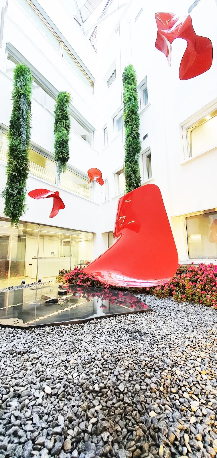 Clinica Rotger - Bild 7