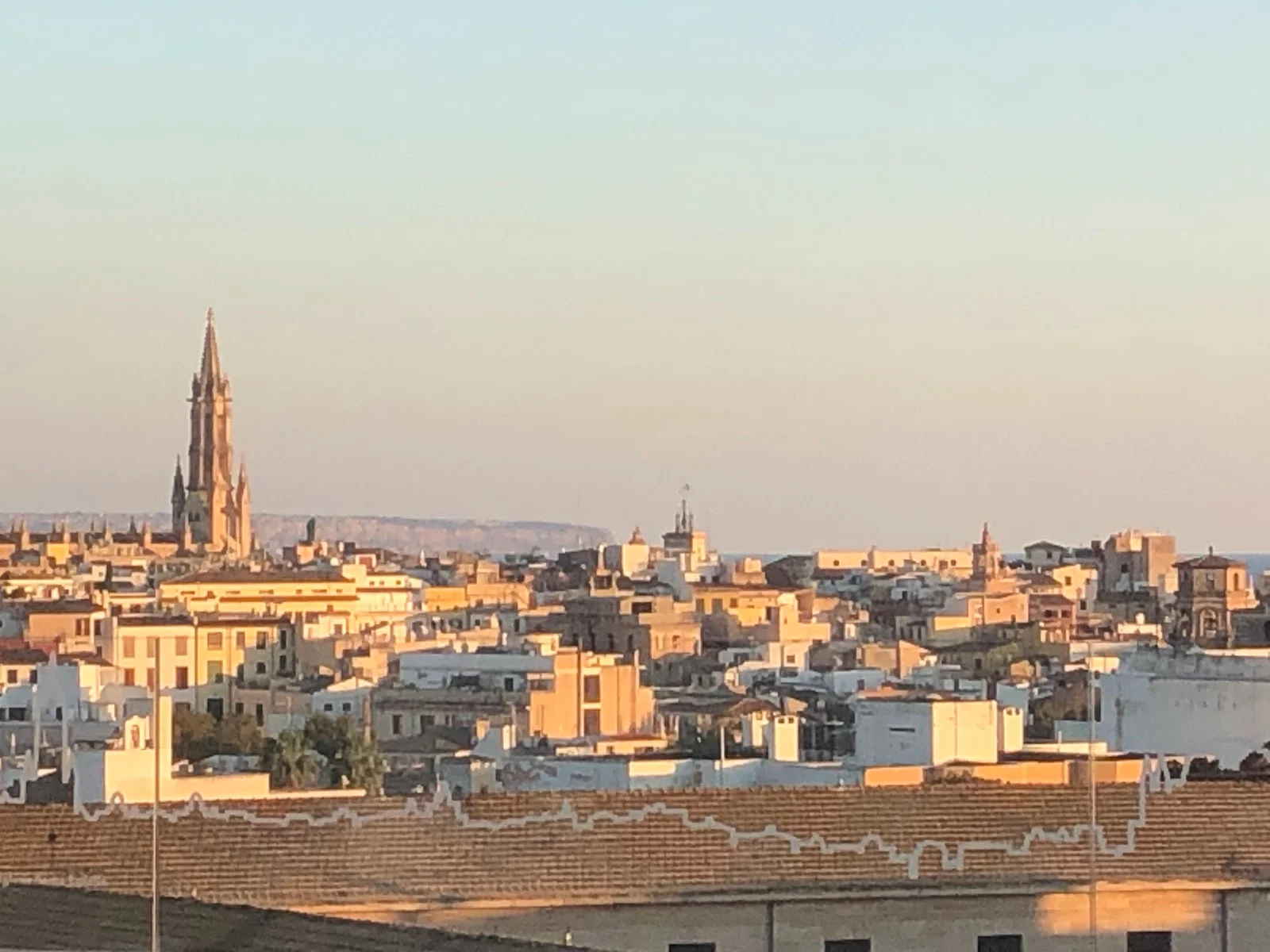 Clinica Rotger - Bild 9