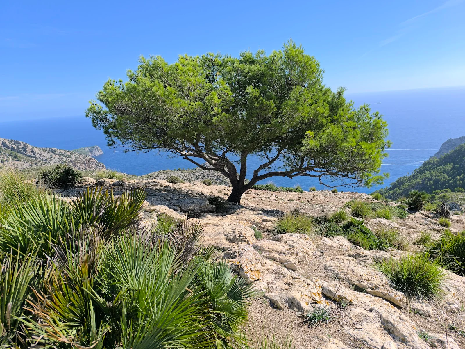 Talaia d'Alcúdia - Bild 3
